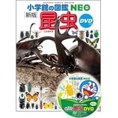 小学館の図鑑NEO 新版 昆虫 DVDつき