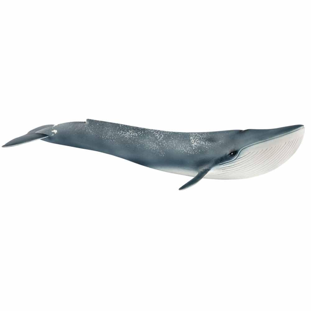  Schleich シュライヒ シロナガスクジラ(14806)