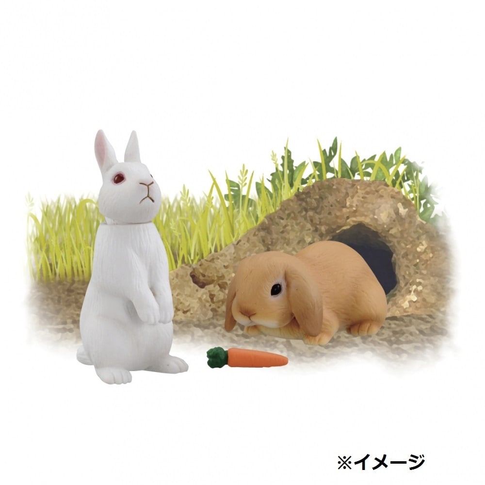 アニア As 34 ウサギ 日本白色種 ロップイヤー トイザらス