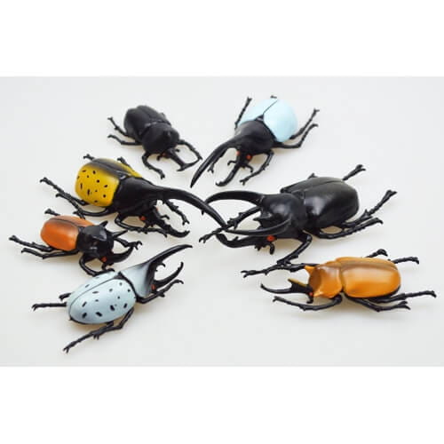 立体昆虫図鑑 世界のクワガタ／世界のカブトムシ 種類ランダム