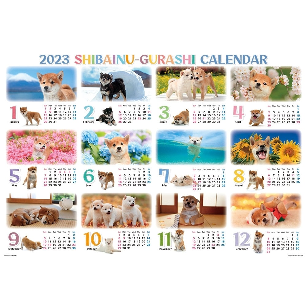  柴犬ぐらしカレンダー2023 ジグソーパズル 1000ピース【クリアランス】