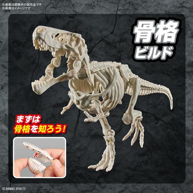 最初の 32 Imaginary Skeleton モササウルス プラモデル バンダイスピリッツ