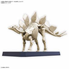 プラノサウルス ステゴサウルス【クリアランス】