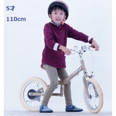 16インチ 身長95～110cm 子供用自転車 1台2役 2WAY BIKE（ミント）キックバイク ペダルバイク スチールフレーム トイザらス限定