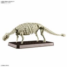 プラノサウルス アンキロサウルス【クリアランス】