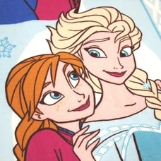 表ガーゼタオルケット ディズニー アナと雪の女王 85×115cm