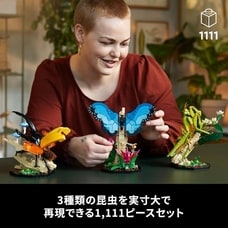 レゴ LEGO アイデア 21342 昆虫コレクション【送料無料】