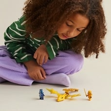 レゴ LEGO ニンジャゴー 71803 エリンのライジング・ドラゴン