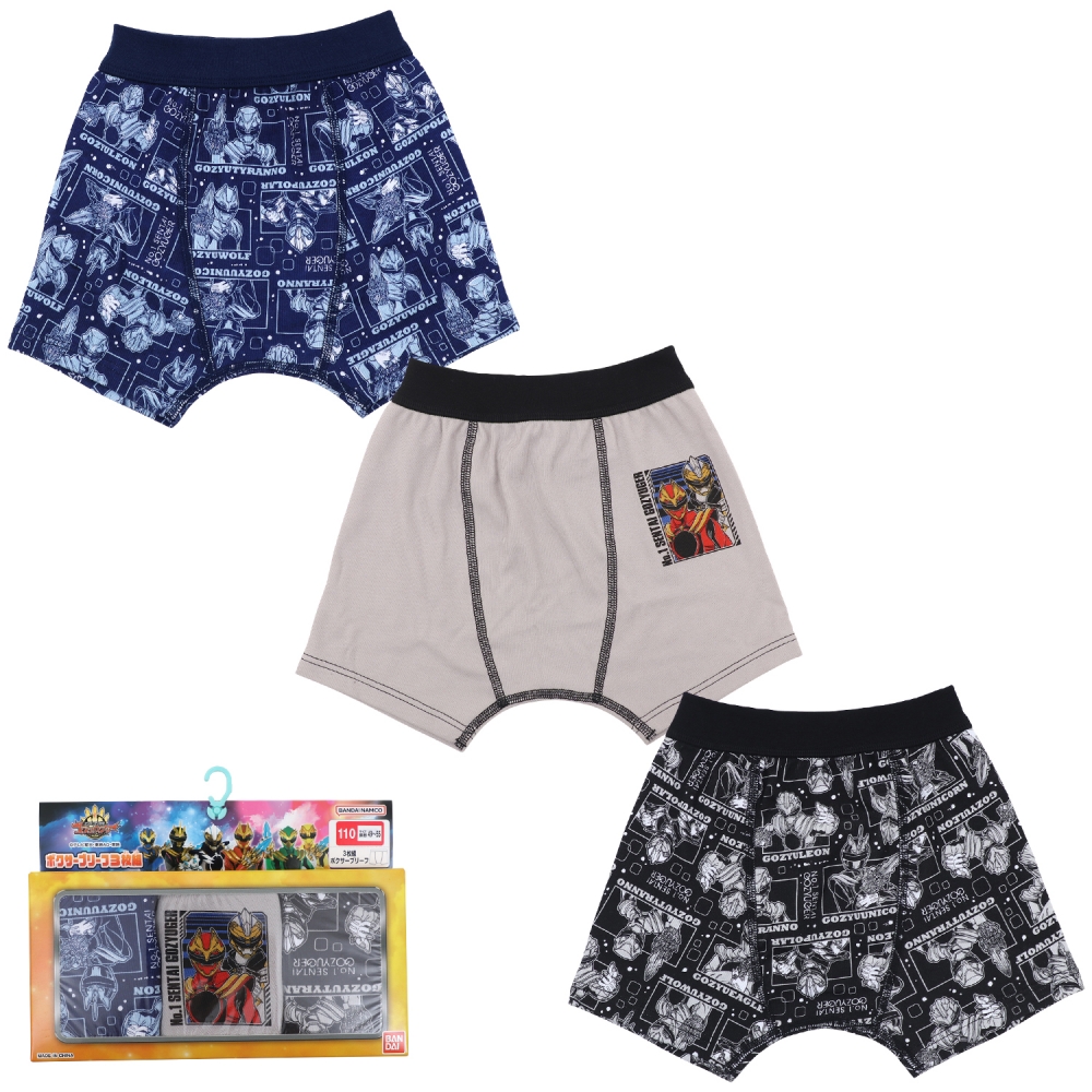 io[SWEW[Rg{NT[u[t O[×120cm